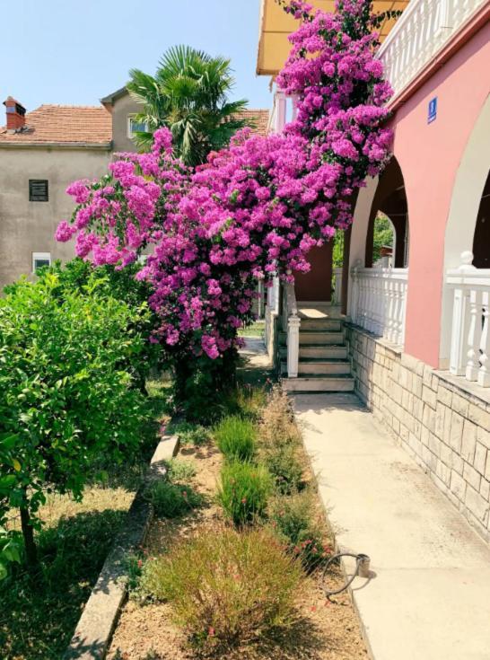 Peaceful, Cosy Tivat Guesthouse Eksteriør bilde